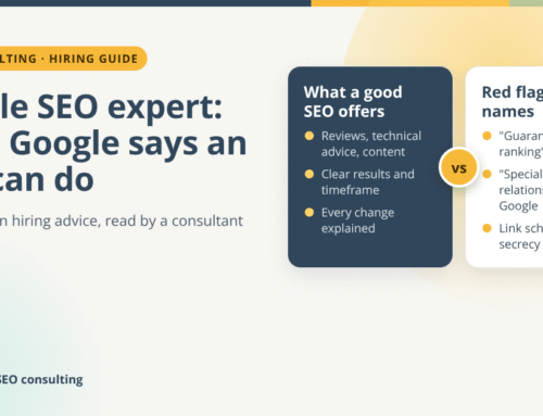 Google SEO Expert: What Google Itself Says an SEO Can and Can’t Do